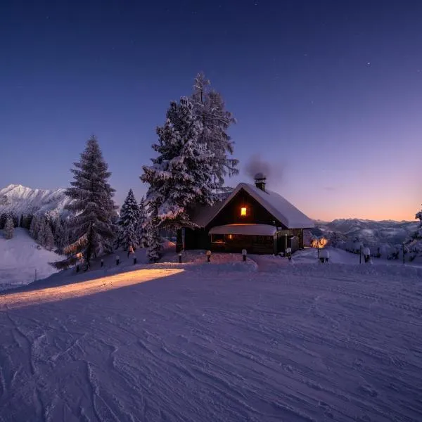 Jagdhütte Gammeringalm，位于皮恩山口附近施皮塔尔的酒店
