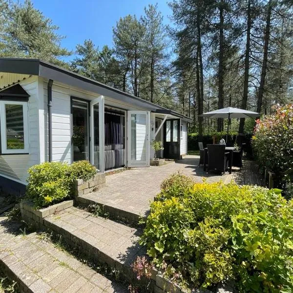 Luxe vakantiehuis in het bos，位于Overbroek的酒店