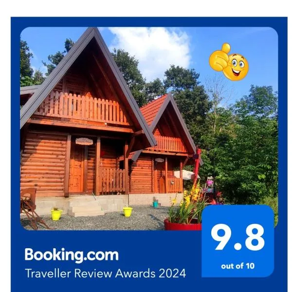 Seoski Turizam Feniks - apartman Ostrog，位于Kosjerić的酒店