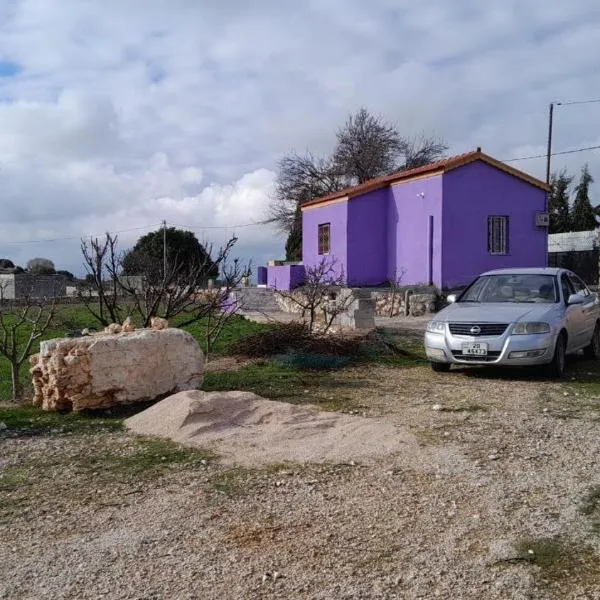 Jerash mountain studio chalet شاليه جبال جرش و عجلون，位于杰拉什的酒店