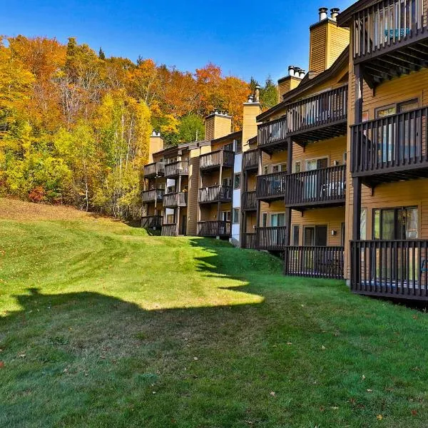 Okemo Mountain Lodge，位于泊鲁的酒店