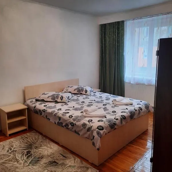 Apartament Central，位于斯特拉扎的酒店