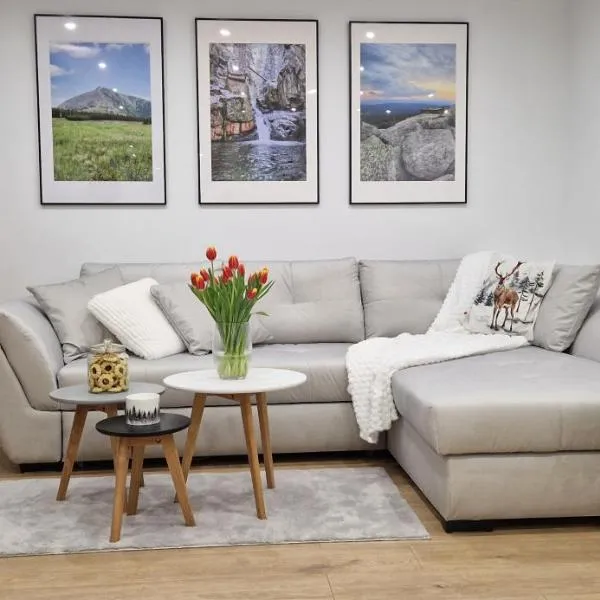 Apartament na skałkach，位于耶莱尼亚古拉的酒店