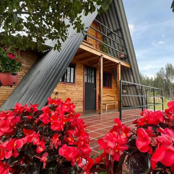 Chalet Villa Ines un paraiso en las montañas，位于杜伊塔马的酒店