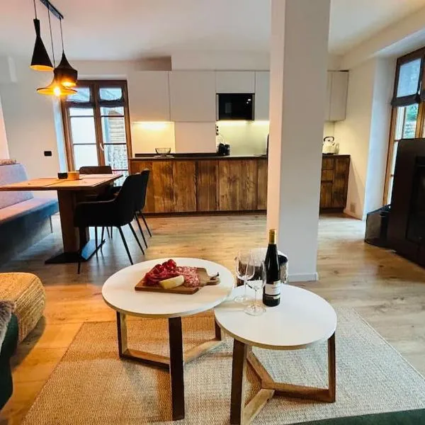 Alpen Lodge Premium Apartment，位于梅扎纳的酒店