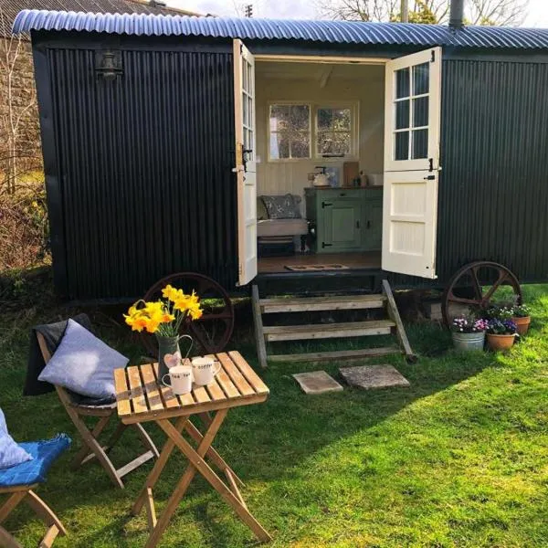 shepherd hut glamping in Northumberland，位于泰恩河畔纽卡斯尔的酒店
