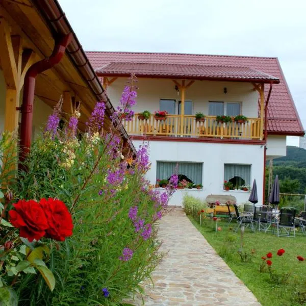 诗歌旅馆，位于Scrind-Frăsinet的酒店