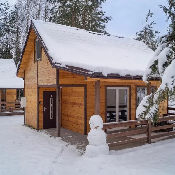 Zagajnik Białowieża，位于比亚沃维耶扎的酒店