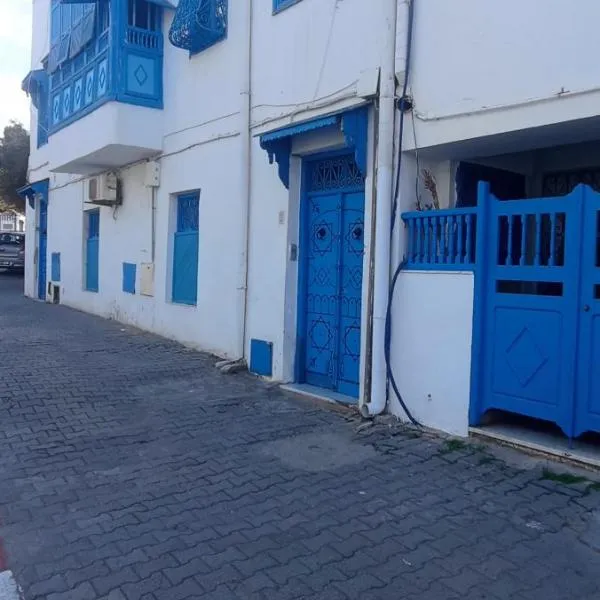 Jolie Maison au centre de Sidi Bou Said，位于西迪·布·赛义德的酒店