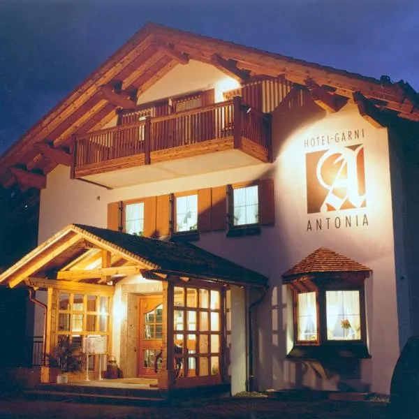 安东尼酒店，位于Altenau的酒店