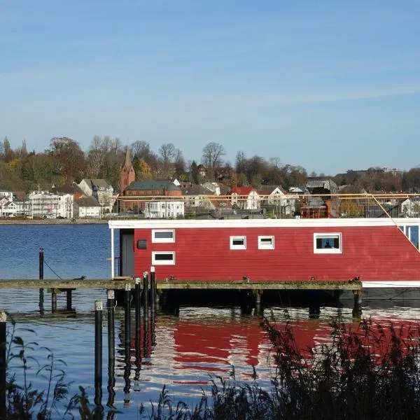 Hausboot Flying Dutchman (5*****) mit Dachterrasse in Schleswig am Ostseefjord Schlei，位于石勒苏益格的酒店
