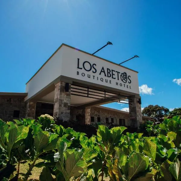 Hotel Boutique Los Abetos，位于下博克特的酒店