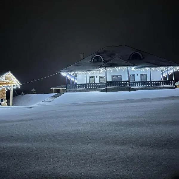 Casa Bunicii，位于Şaru Dornei的酒店
