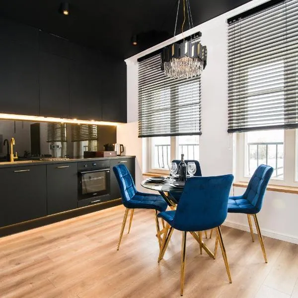 Black Pearl Apartment starówka，位于埃尔布隆格的酒店