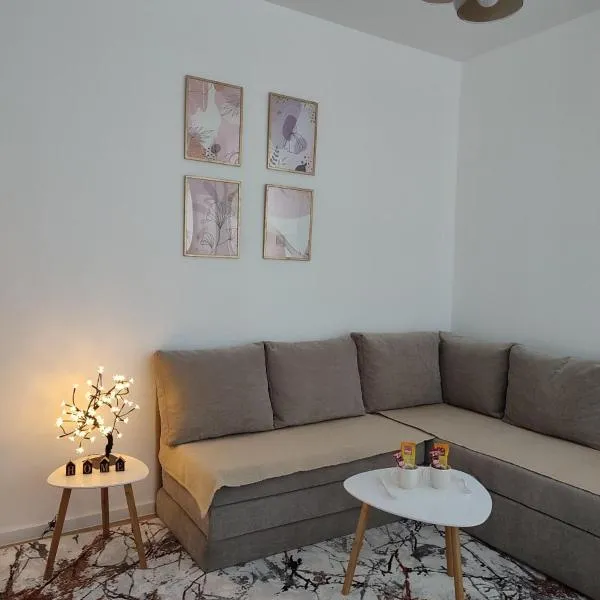 AS apartman Panonica，位于图兹拉的酒店