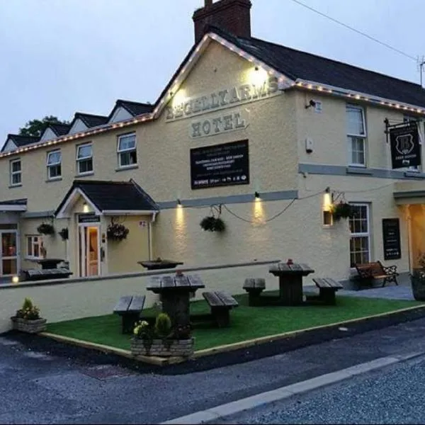 The Begelly Arms Hotel，位于Minwear的酒店