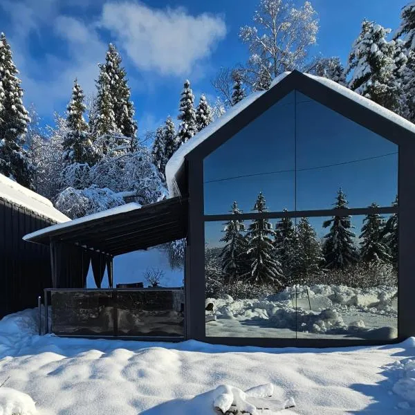 Tiny House 2 Dedinky Privat Wellness，位于德丁基的酒店