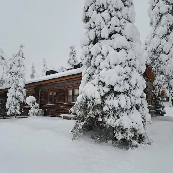 Tunnelmallinen kelohonkamökki (paritalon puolikas) Rukalla，位于库萨莫的酒店