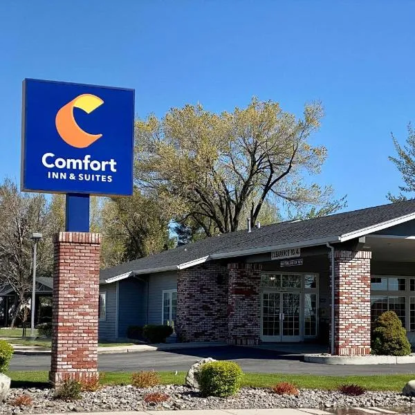 Comfort Inn & Suites，位于苏珊维尔的酒店