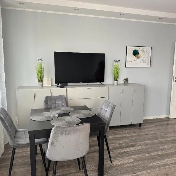 Apartament Górczyn 14 HGS Home，位于Danków的酒店