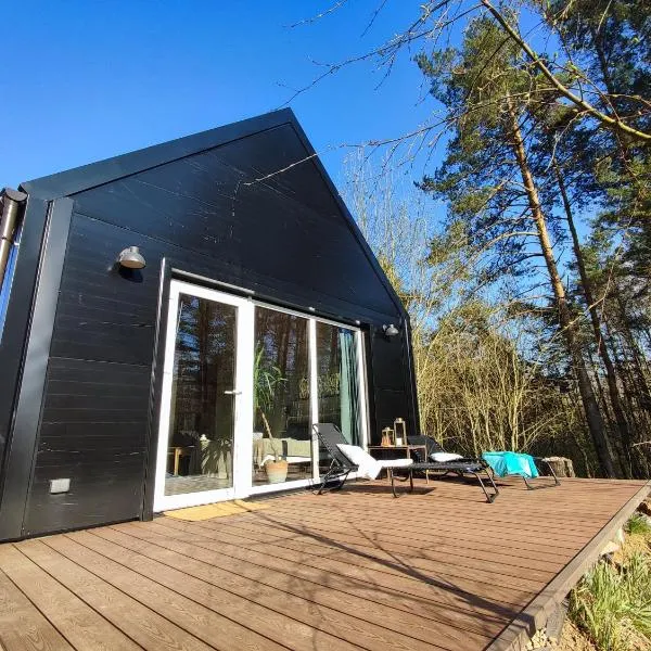 Modern Sauna Cabin in Horse Ranch，位于Vigontiškiai的酒店