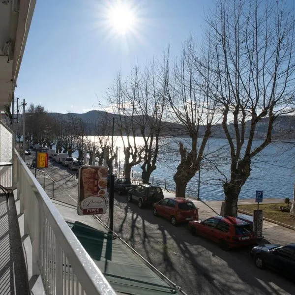 Panagiotidis lake house，位于卡斯托里亚的酒店