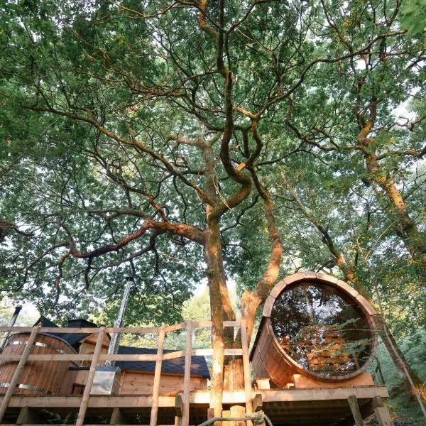 Chestnut Tree House with Hot tub & Sauna，位于巴茅思的酒店