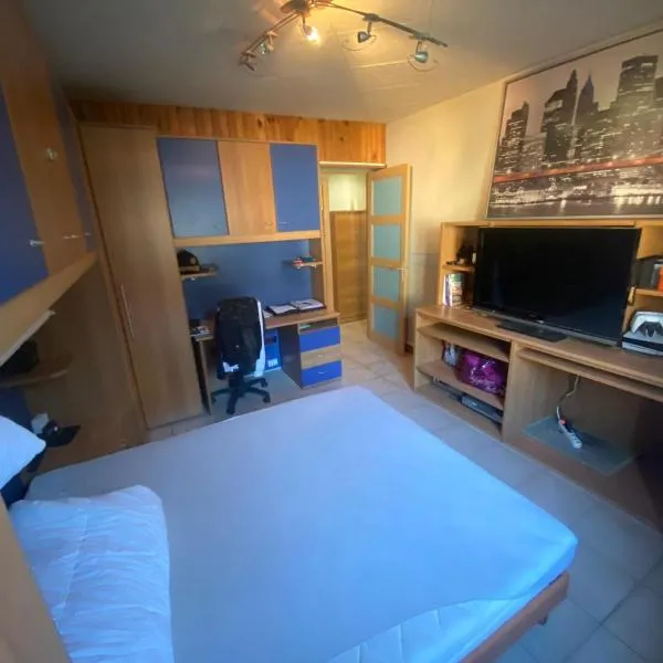 Appart a 10 min de 3 stations de ski，位于莫达讷的酒店