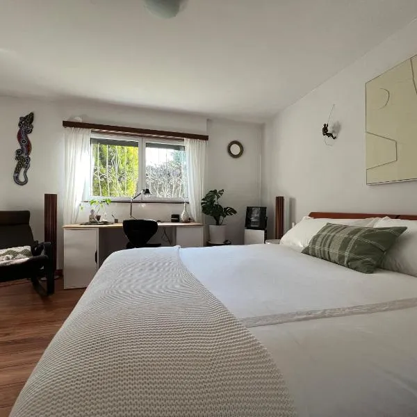 The Comfy Apartment，位于卢加诺的酒店