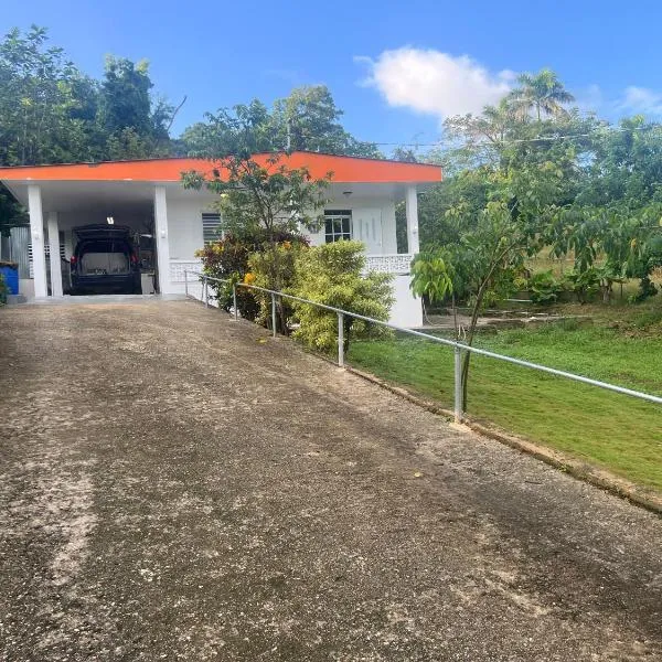 Coqui del corazón Guest House，位于阿雷西博的酒店