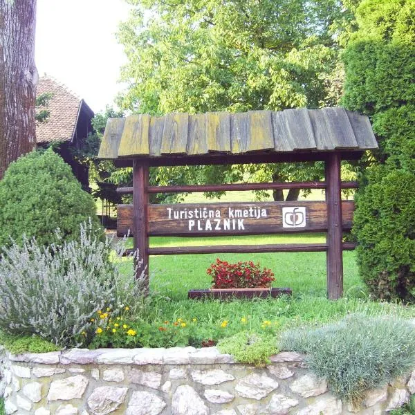 Guest House Turistična kmetija Plaznik，位于Šentjanž的酒店