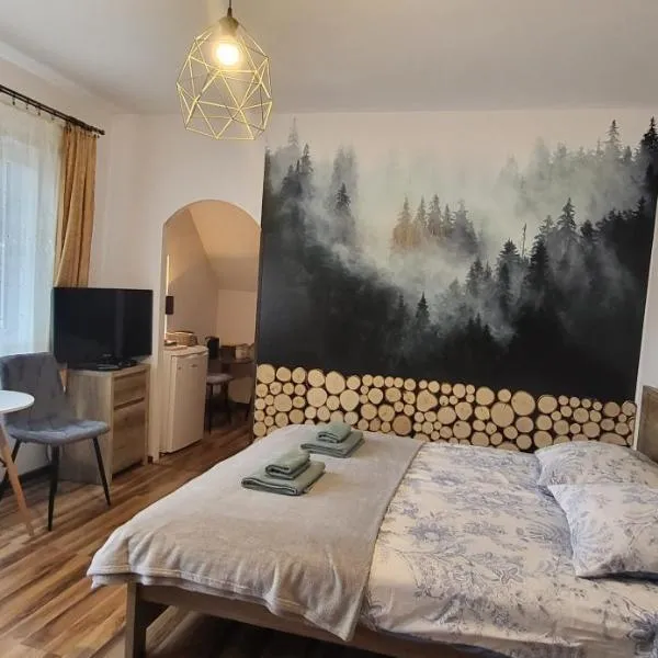 Pokoje Gościnne u Zosi，位于卡尔帕奇的酒店