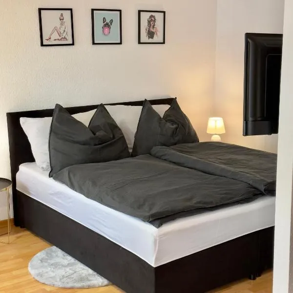Charmante Wohnung am Hafen，位于布雷根茨的酒店