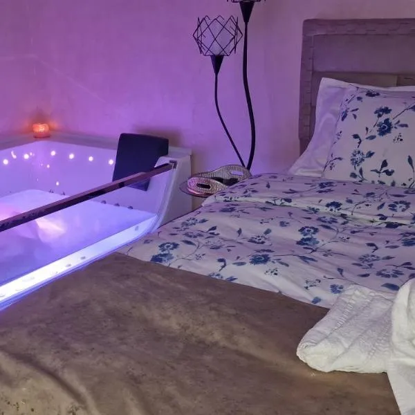 All In Jacuzzi Apartment，位于彼得罗沙尼的酒店