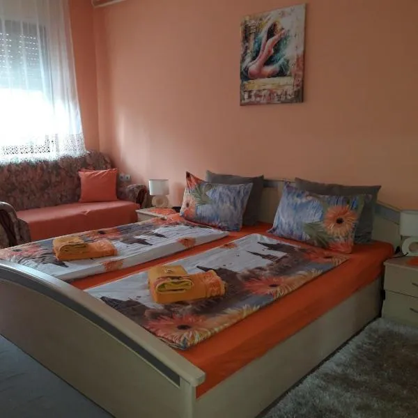 Nela Apartmani，位于尼什的酒店