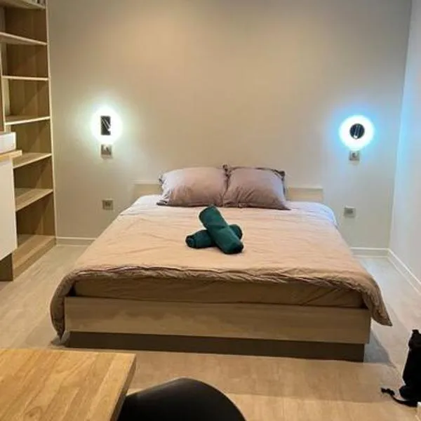 Studio piscine partagée parking securisé，位于圣伊里埃苏尔查的酒店