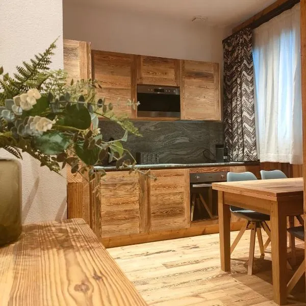 Fior di Roccia Apartments- in centro Cervinia, sauna privata, Matterhorn dream，位于布勒伊-切尔维尼亚的酒店