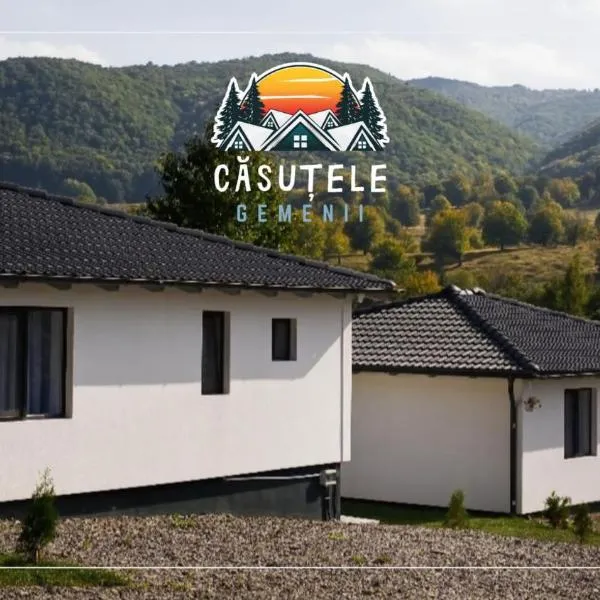 Căsuțele Gemenii，位于Blidireasa的酒店