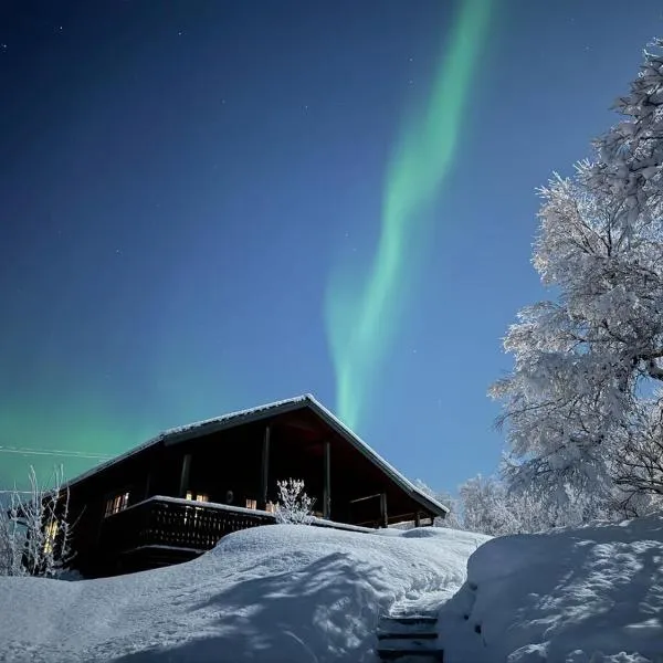 Trivelig hytte i Senja.，位于芬斯内斯的酒店