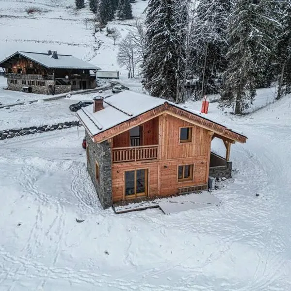 Alpen Chalet，位于莫尔济讷的酒店