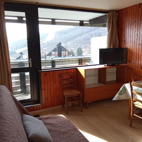 Appartement plein cœur Super-Besse，位于贝斯和圣阿纳斯泰斯的酒店