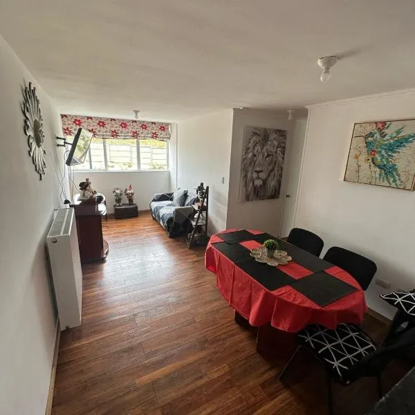 Apartamento punta Arenas，位于蓬塔阿雷纳斯的酒店
