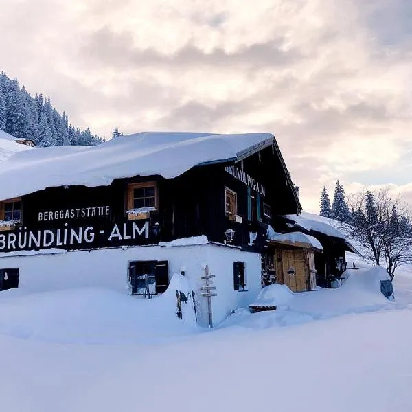 Bründling-Alm Berggasthof auf 1167m auf dem Hochfelln，位于卑尔根的酒店