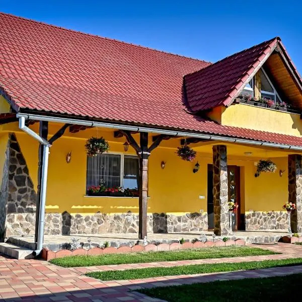 Casa Potcovarului，位于Drăguş的酒店