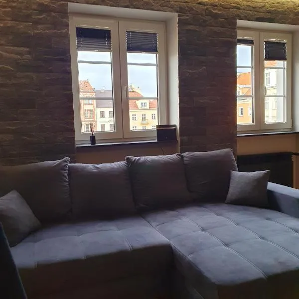 Rynek 23 LUX, apartament z widokiem na ratusz Starego Miasta，位于格利维采的酒店