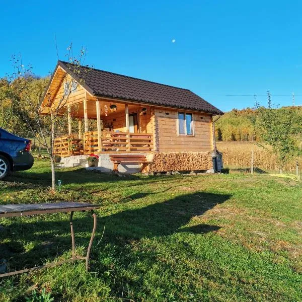 Stefana's Tiny House Nature Retreat，位于Sărădiş的酒店