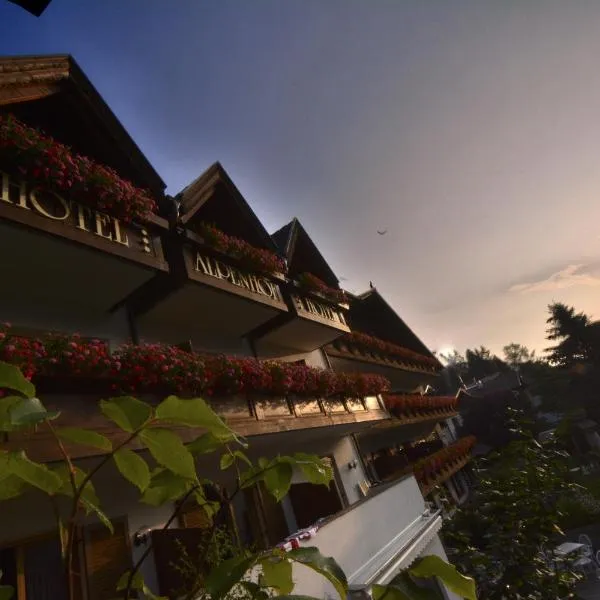 Hotel Alpenhof，位于欧缇莫的酒店