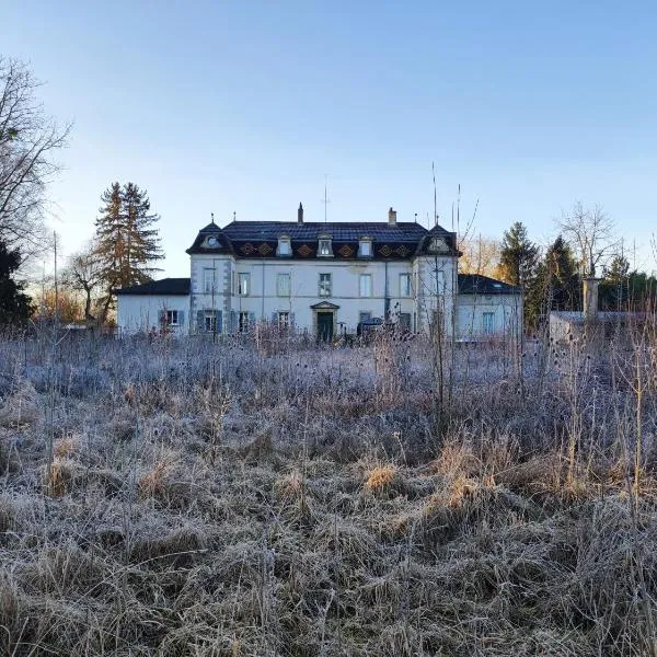 La Marlienne - Appartement T3 dans un château，位于Brazey-en-Plaine的酒店