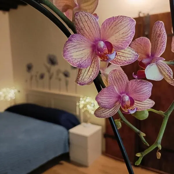 Il giardino segreto，位于卢卡的酒店