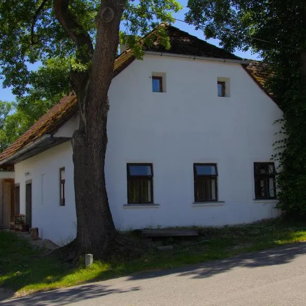 Chalupa lipovka，位于Budětice的酒店
